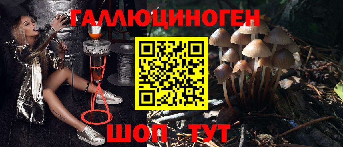 Галлюциногенные грибы Psilocybine cubensis  Вход с VPN  Екатеринбург 
