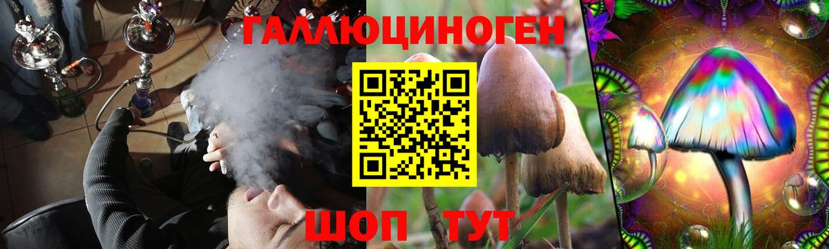 Псилоцибиновые грибы GOLDEN TEACHER Екатеринбург
